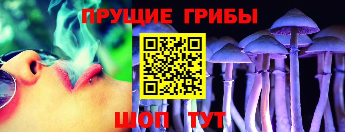Кинель  Псилоцибиновые грибы Psilocybe  Вход с VPN 