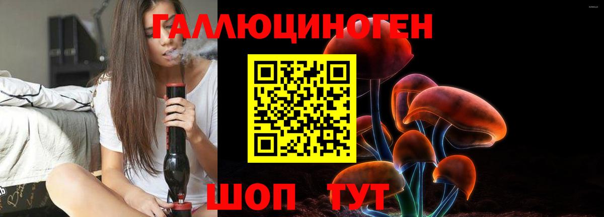 Псилоцибиновые грибы GOLDEN TEACHER Кинель